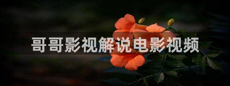 达达兔电影网午夜