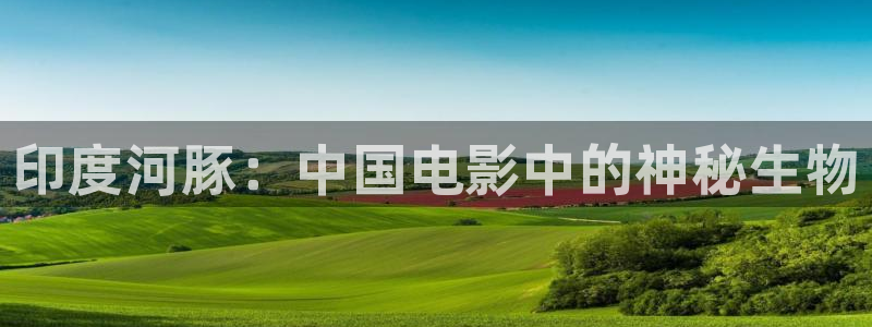 午夜巴黎的电影