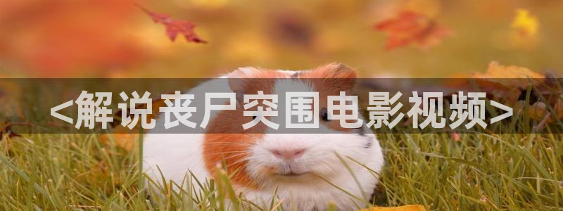 good神马电影伦理午夜