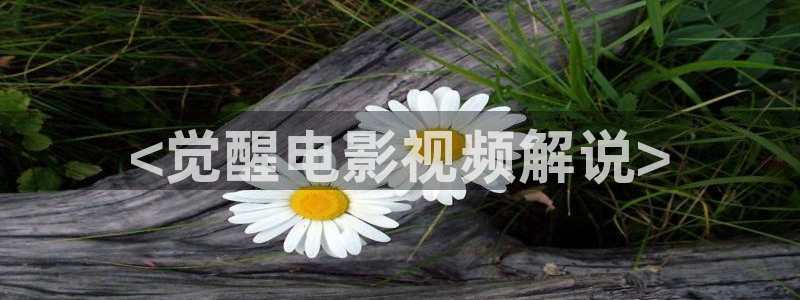 成年女性午夜爽爽爽在线看片
