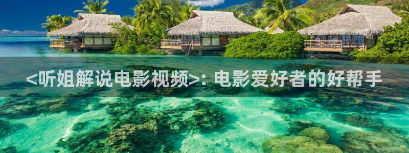 达达兔午夜电影