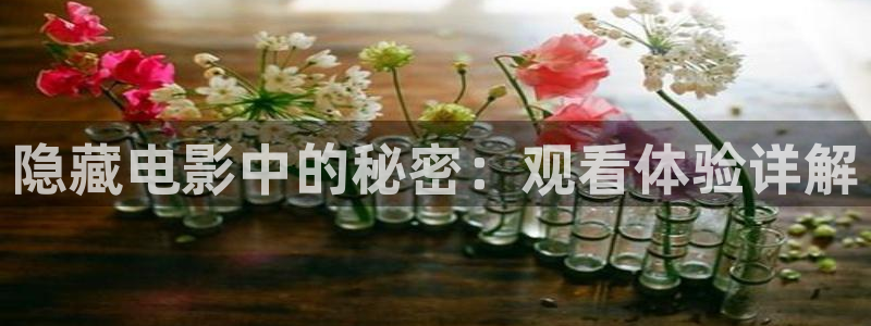 精品午夜影院在线观看