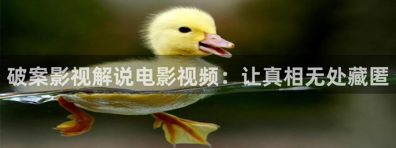 神马影院午夜片我不卡