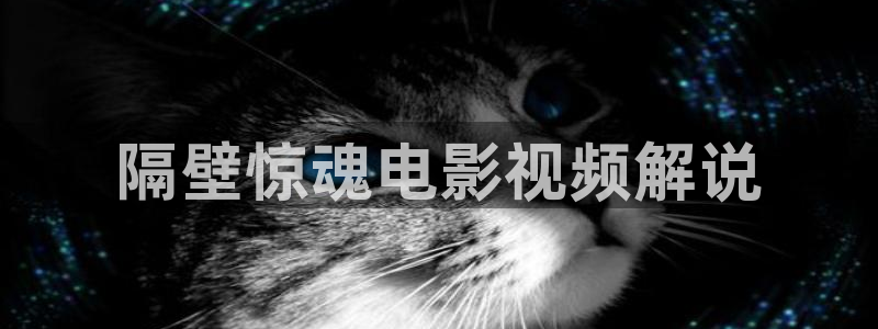 伦理片午夜