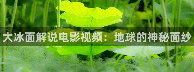 神马影院dy888午夜