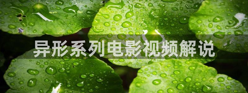 深夜午夜电影