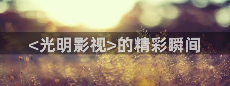 秋秋午夜影视
