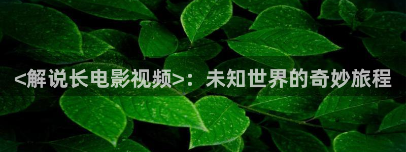 午夜性感美女电影