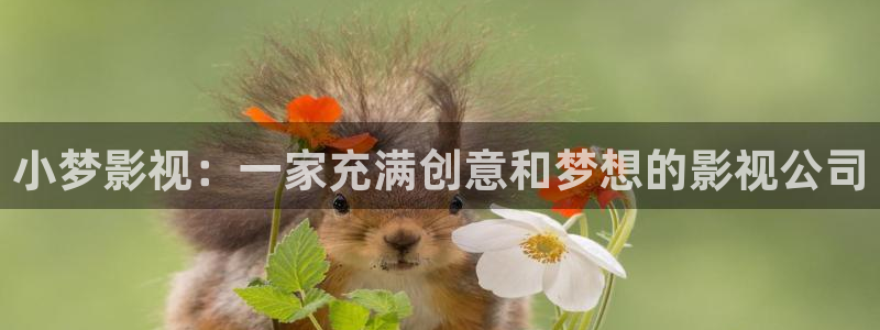 韩国午夜剧场