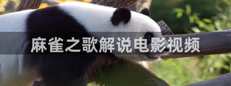 午夜av资源