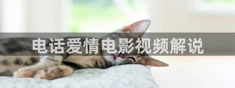 午夜影院 在线观看