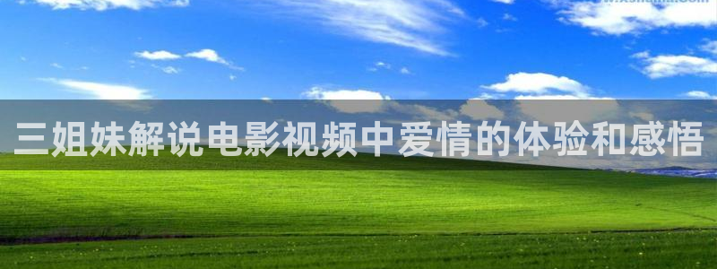 yy午夜片