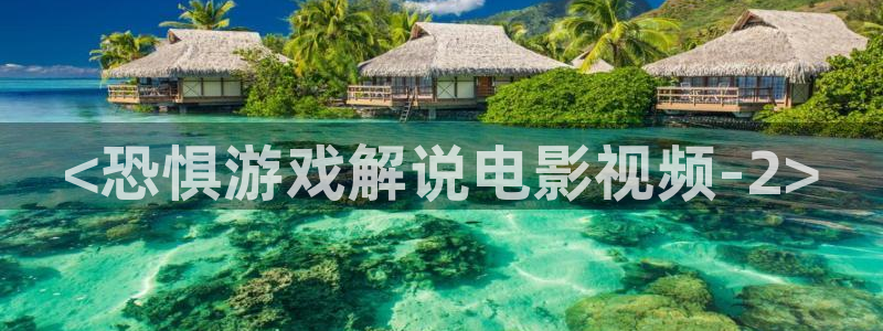 午夜的视频在线观看