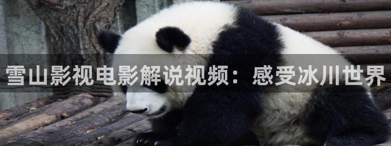 午夜电影69