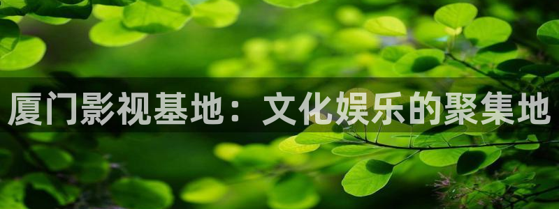 8050午夜电影免费看