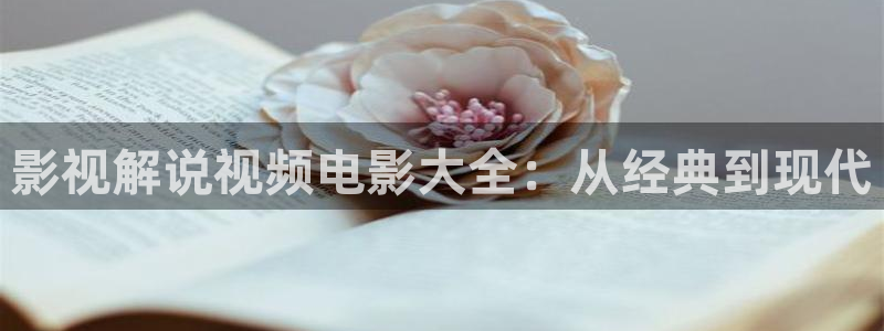 午夜dj影院欧美