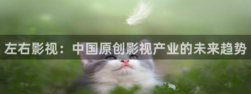 神马手机电影网午夜