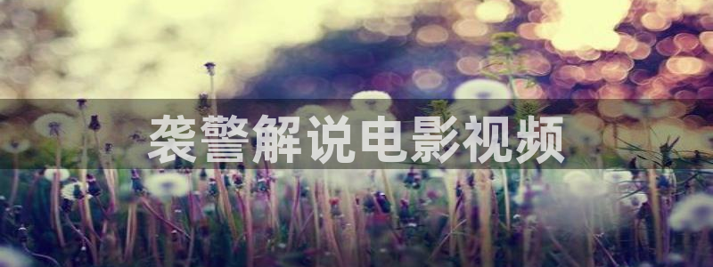 国产午夜在线福利视频