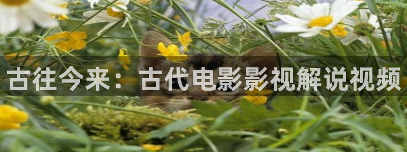 大胆午夜影院