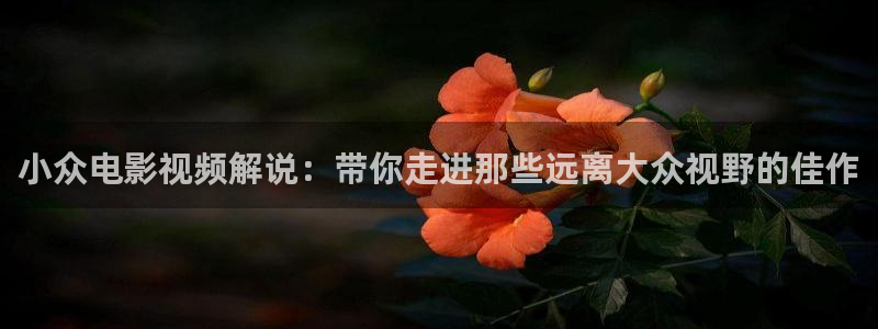 午夜网址电影