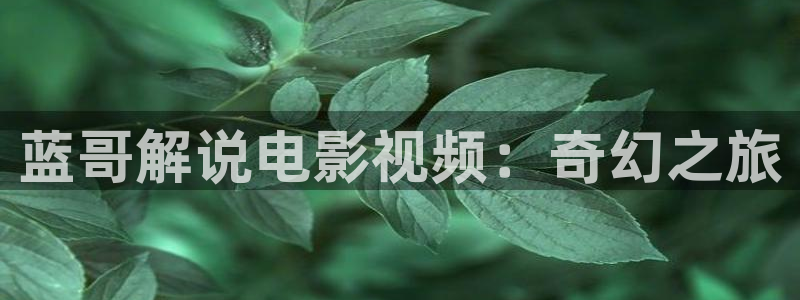 www.午夜片