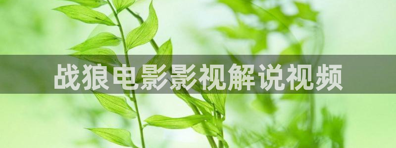新闻图片