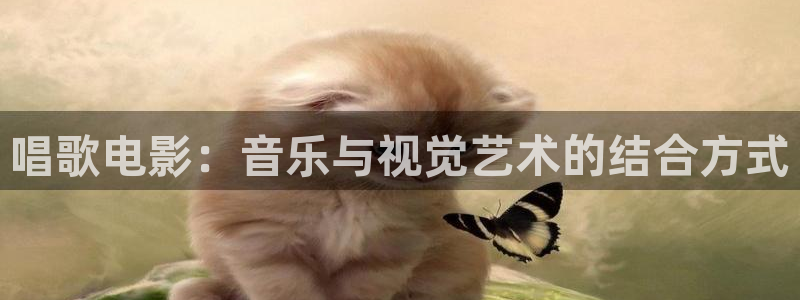 成人av午夜电影