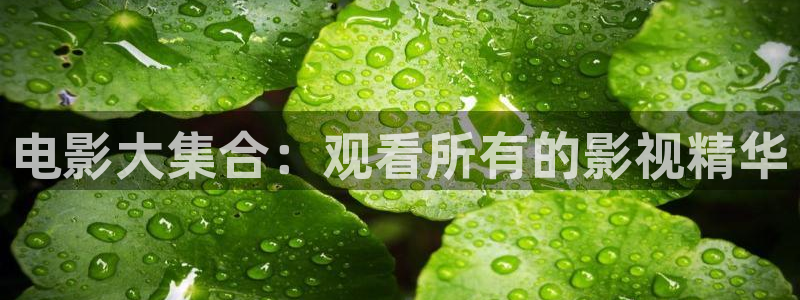 午夜a成v人电影