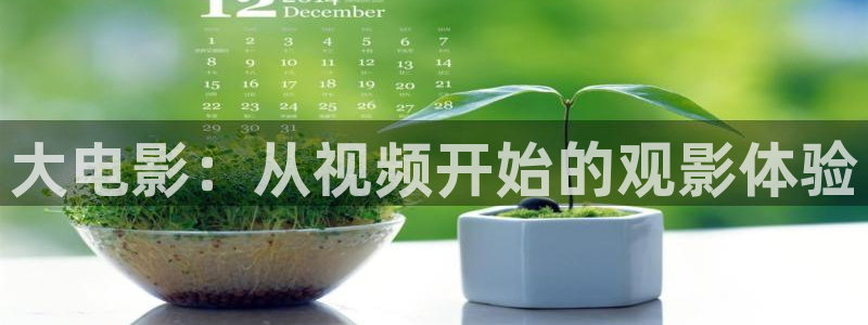爱在午夜降临前免费观看完整版