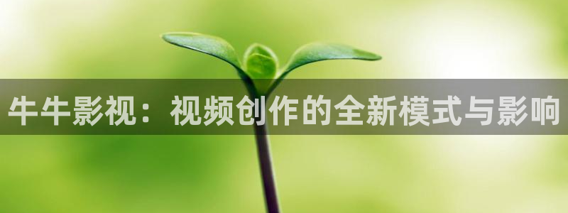 电影午夜巴士