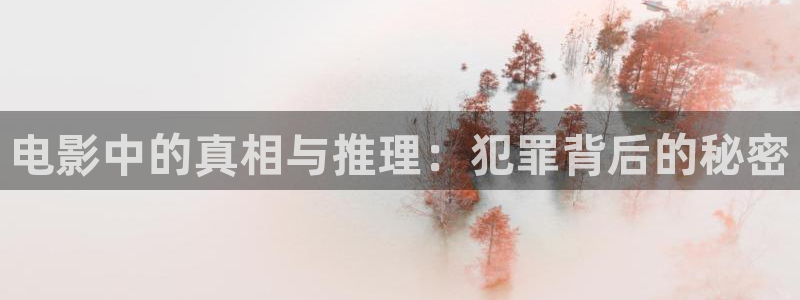 5678影院午夜理论片