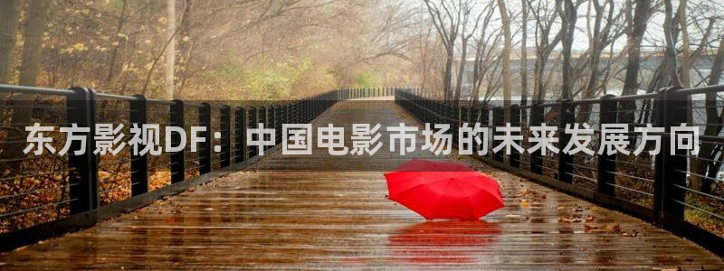 秋霞在线午夜电影