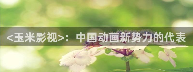 欧美午夜精品在线观看