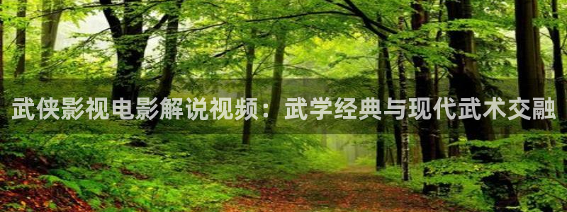 1313午夜电影