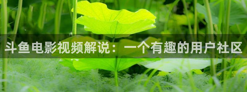 神马影院午夜我不卡影院