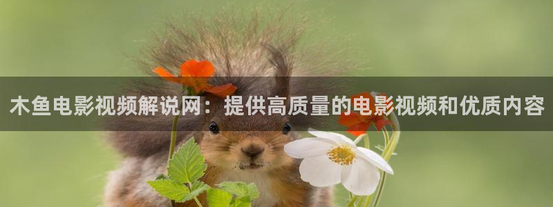 嘿嘿嘿午夜电影院