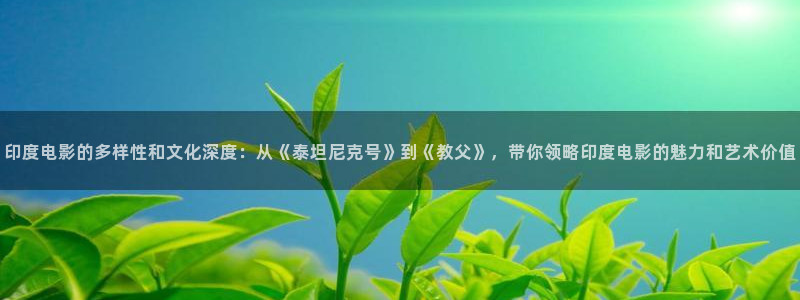伦理片在线播放午夜影院在线