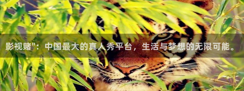国产精品自在在线午夜免费