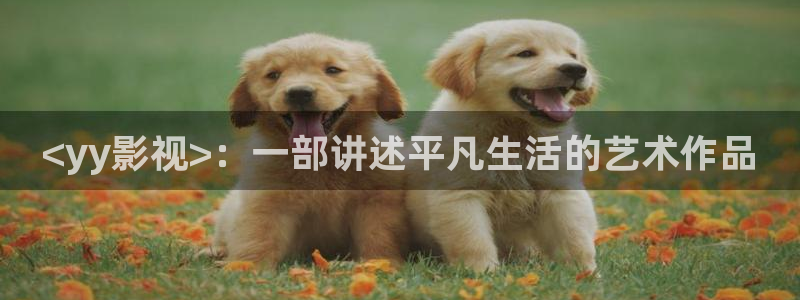 午夜男女视频免费观看视频播放