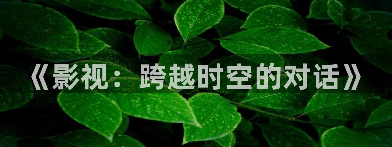 岛国午夜免费电影