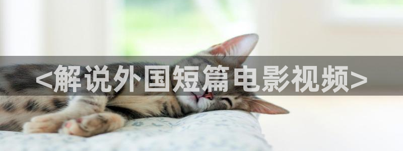 天天影视 午夜