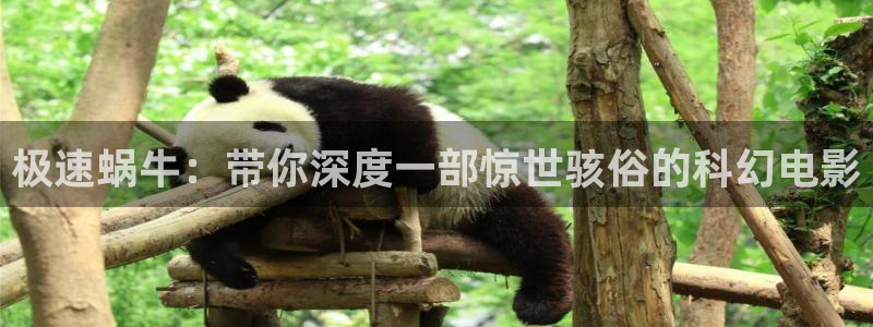 秋霞神马午夜伦理