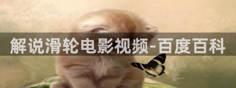 5060午夜看片在线