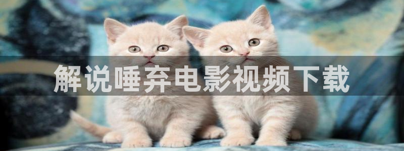 成人午夜免费在线网站