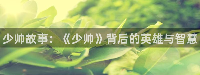 午夜 影院 一区